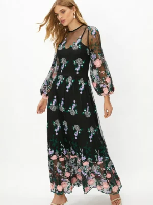 Coast Embroidered Mesh Midaxi Dress