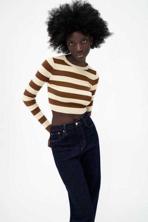 Striped Ecru & Brown Longsleve Crop Top