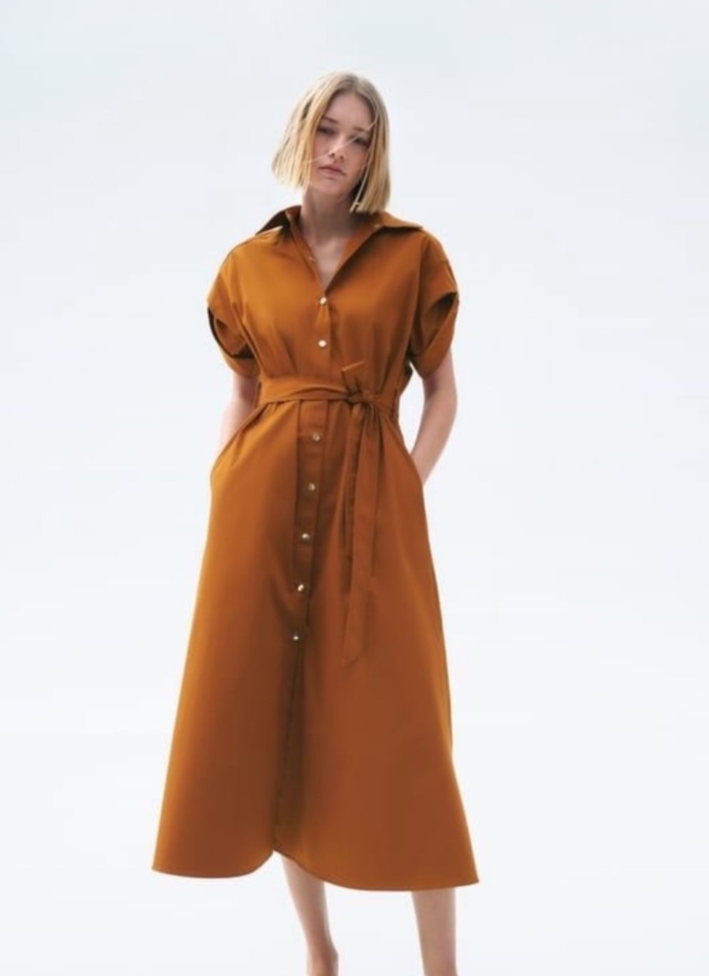 Rust Midi Button Through Belted Dress