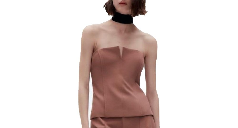 Dusty Brown Strapless Corset Top With V Notch