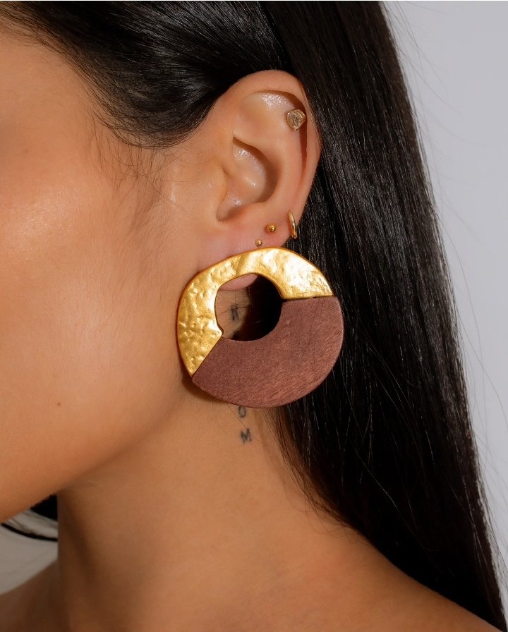Brown Wood Circle Earrings With Gold