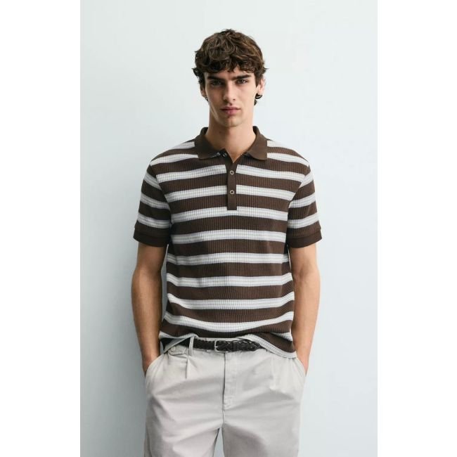 Striped Knit Polo Shirt